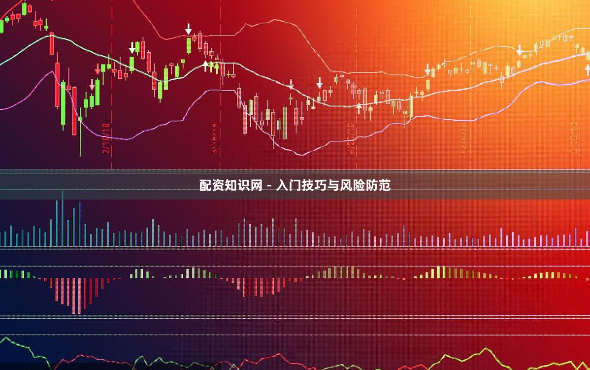 配资知识网 - 入门技巧与风险防范